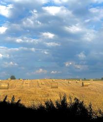 noclegi Mikołajki Jak Tu Ładnie - Osada i Siedlisko