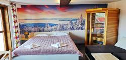 noclegi Zakopane Villa Vista Apartamenty & SAUNA