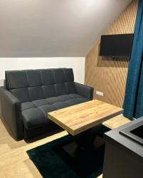 noclegi Korbielów Leśne Wzgórze Apartamenty