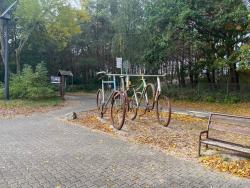 noclegi Grzybowo Apartamenty Morze Smaku