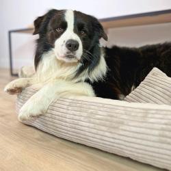 noclegi Kołobrzeg 408 w PIĘCIOGWIAZDKOWYM HOTELU Royal Tulip Sand Plaża 200 m DOBRUK APARTAMENTY