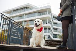 noclegi Mielno Dune Beach Resort - A