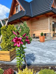 noclegi Witów Żabie Dworki Witów Luxury Chalets & SPA