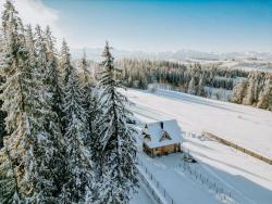 noclegi Groń Legenda Lasu - drewniany domek w górach, przy stoku narciarskim Kotelnica, Białka Tatrzańska, w pobliżu Term Bania