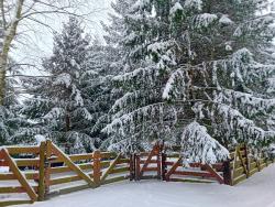 noclegi Kołczewo Dom Black&White