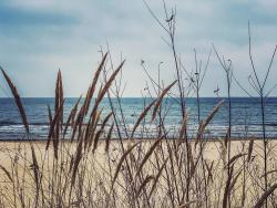 noclegi Sopot Sopot blisko plaży 4