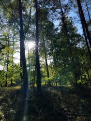 noclegi Sztutowo Bosio nad morze