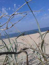 noclegi Chłopy Pod Szklaną Wydmą - 2 min pieszo do plaży