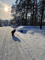 noclegi Mrągowo Apartamenty Mazury