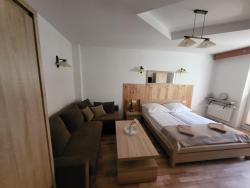 noclegi Muszyna Apartament pod Basztą