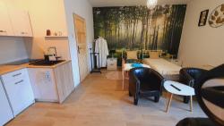 noclegi Jelenia Góra Apartament 1 przy Termach Cieplickich