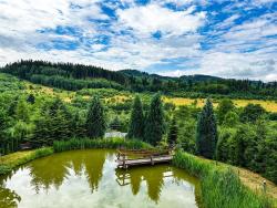 noclegi Kudowa-Zdrój Apartamentos CALMA & SPA