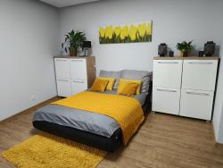 noclegi Szczawno-Zdrój Apartament 55m2 for you