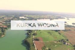 noclegi Mikołajki Domki na Mazurach Kurka Wodna