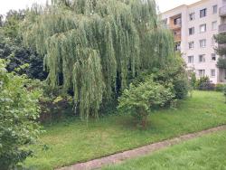 noclegi Gdynia Willow