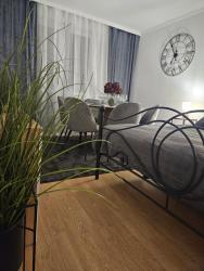 noclegi Nowy Targ Apartament Diselvio