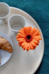 noclegi Mielno Modern Apartment with Balcony and Parking by Noclegi Renters