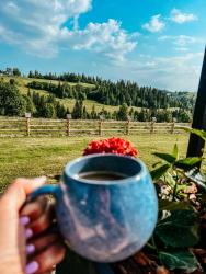 noclegi Bukowina Tatrzańska Owczarnia Tatry