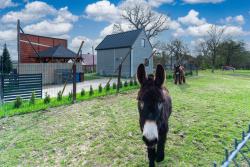 noclegi Niechorze Domek wczasowy z dostępem do Mini zoo Donkeyszot