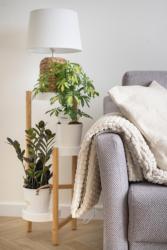noclegi Gdańsk APARTAMENT BOHO