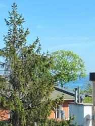 noclegi Sopot Elite Apartments Parkowa Economy