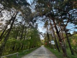 noclegi Mikoszewo Bursztynowa 22