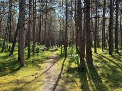 noclegi Rogowo RentPlanet - Apartamenty Shellter