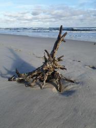 noclegi Hel Apartament Blue Hel