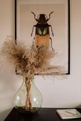 noclegi Sasino Prawdziwe Morze