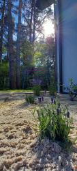 noclegi Dębki Apartamenty na Spacerowej