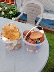 noclegi Kąty Rybackie Pokoje Gościnne Słoneczko