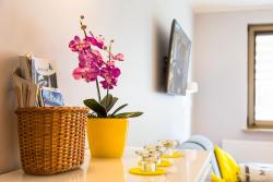 noclegi Świnoujście Apartament Słoneczny