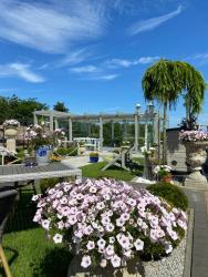 noclegi Sarbinowo Domki Nad Rozlewiskiem Sarbinowo Basen, Małpi Gaj w Świetlicy - Wszystko dla Dzieci, Rowery, Ognisko