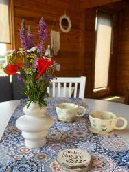 noclegi Sztutowo Blisko Natury - domki w Sztutowie