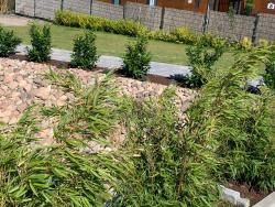 noclegi Rewal Albatrosa 17 - apartament nr 3