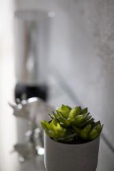 noclegi Gdańsk Apartament Wanessa