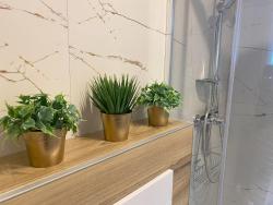 noclegi Słupsk Apartamenty W NIEBIE