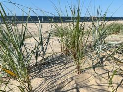 noclegi Jantar Apartament SunSet z klimatyzacją - całoroczny