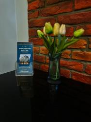 noclegi Gdańsk Apartament Lux Gdańsk Nowa Motława