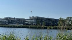 noclegi Dziwnów Silence&Sea SPA Dziwnów Porta Mare