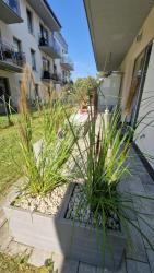 noclegi Pobierowo Maxim Apartment Pobierowo