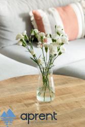 noclegi Pobierowo Apartament Sun&Moon PBA - Aprent