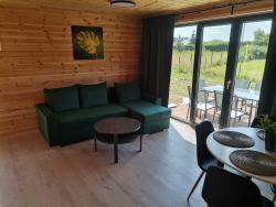 noclegi Rusinowo Hortensja