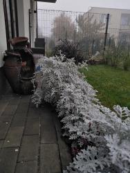 noclegi Władysławowo Apartament prywatny Baltic Nova Władysławowo