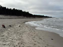noclegi Jastrzębia Góra Apartament PLAŻA I SPOKÓJ