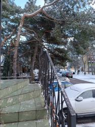 noclegi Ustka Dom Złotnika Ustka