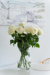 noclegi Międzyzdroje Your Holidays Wave D648 z widokiem na morze