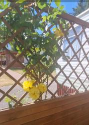 noclegi Jarosławiec Joasia i Maciek BUNGALOWY