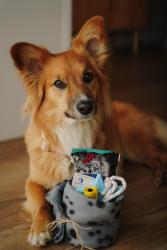 noclegi Mielno HT Houseboats - luksusowe domki na wodzie - sauna, jacuzzi