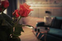 noclegi Gdańsk Tartaczna Old Town